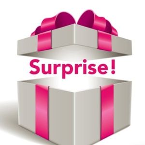 🌟Mystery Box - Fall/Winter (Medium & Large Tops)